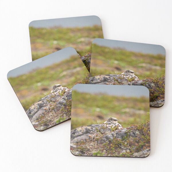 Item preview, Hiding on plain sight. Rock ptarmigan Kiilopaa designed and sold by Jouko Lehto Photography.
