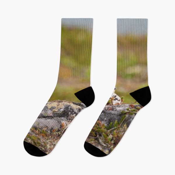 Item preview, Hiding on plain sight. Rock ptarmigan Kiilopaa designed and sold by Jouko Lehto Photography.