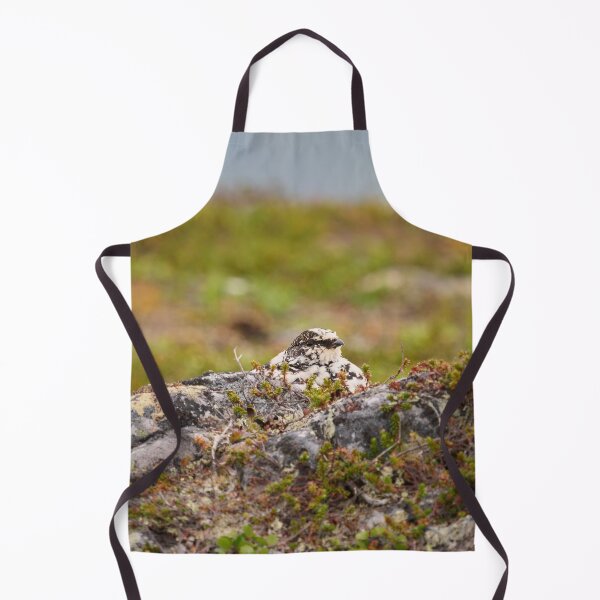 Item preview, Hiding on plain sight. Rock ptarmigan Kiilopaa designed and sold by Jouko Lehto Photography.