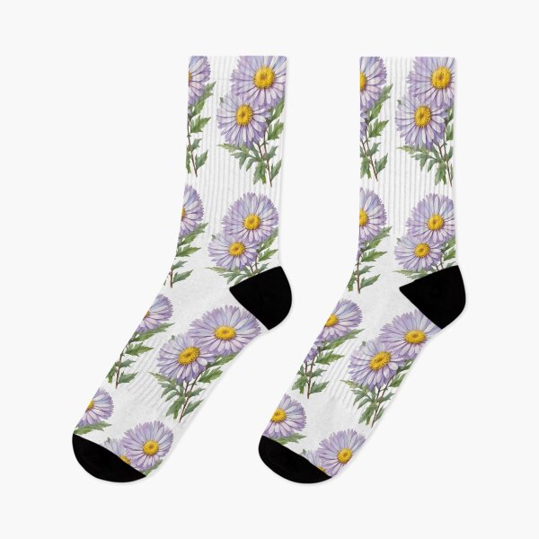 Item preview, European Michaelmas Daisy (Aster amellus) designed and sold by HOMETOWN86.