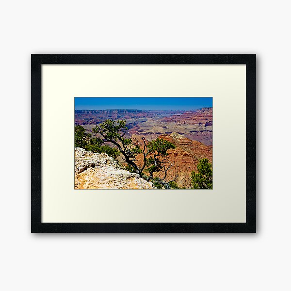 Grand Canyon Over The Edge Framed Art Print