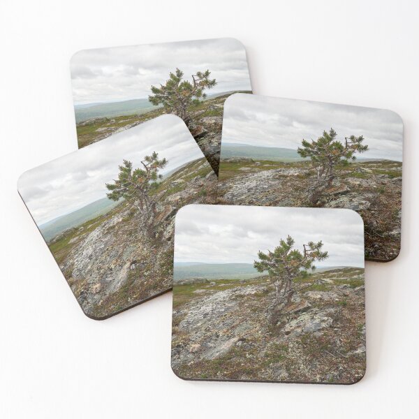 Item preview, The highest pine. Kiilopaa designed and sold by Jouko Lehto Photography.