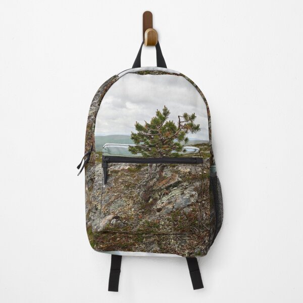 Item preview, The highest pine. Kiilopaa designed and sold by Jouko Lehto Photography.