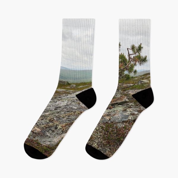Item preview, The highest pine. Kiilopaa designed and sold by Jouko Lehto Photography.