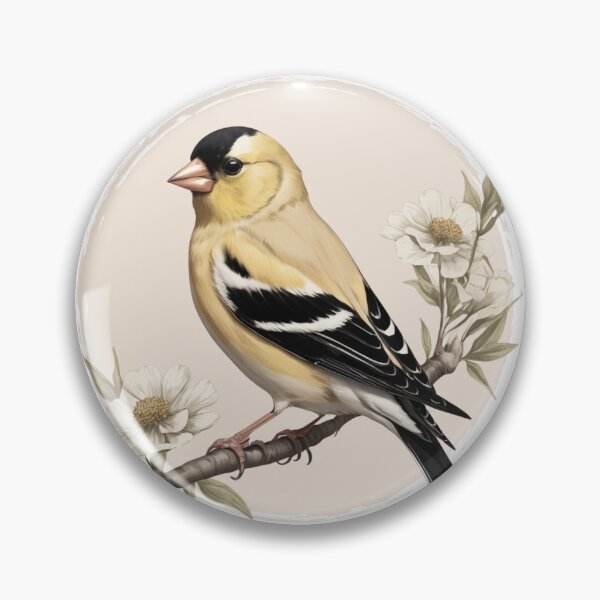 Artikelvorschau, Amerikanischer Stieglitz, Goldener Vogel, Vintage Vogelillustration, Spinus tristis, amerikanische einheimische Vögel, Ornithologie entworfen und verkauft von lagunaklein.
