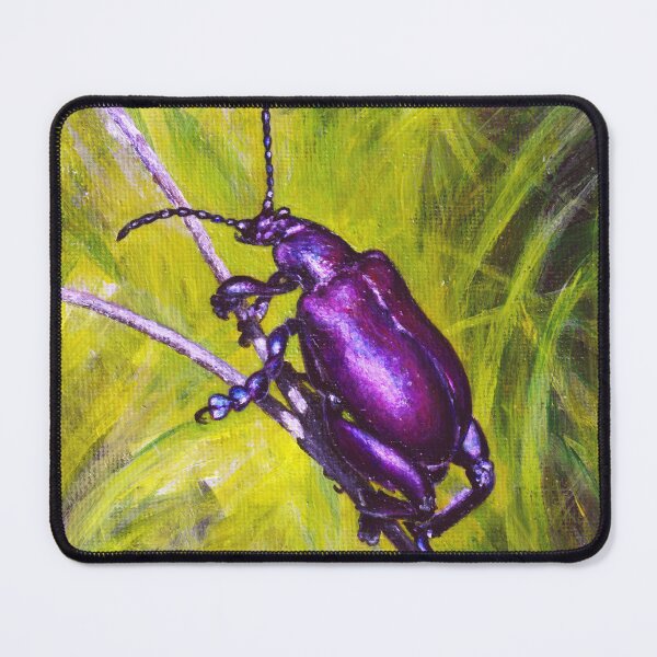 Item preview, Frog-legged beetle (Sagra buqueti) designed and sold by Anna Ratkevich.