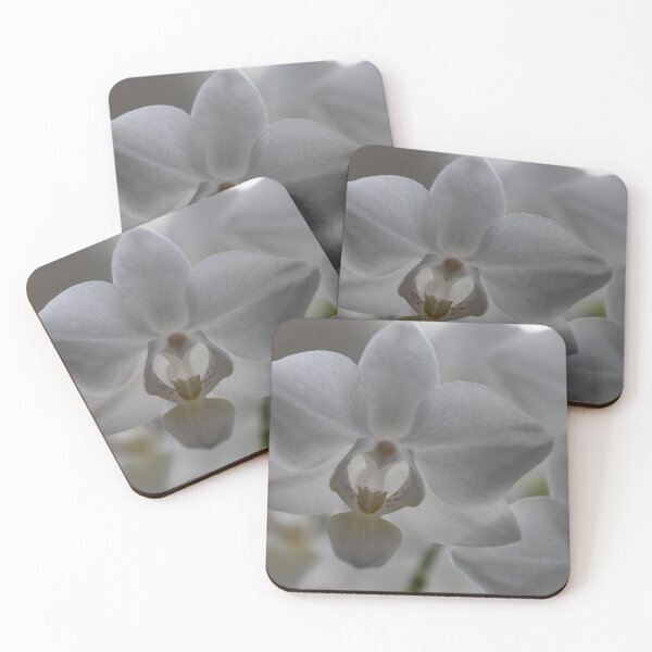 Item preview, Orchid designed and sold by Calidris Fotografie Steffi & Ben Köppler.