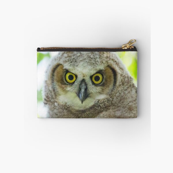 Item preview, Juvenile Great Horned Owl - Photograph designed and sold by Shauna Kenworthy.