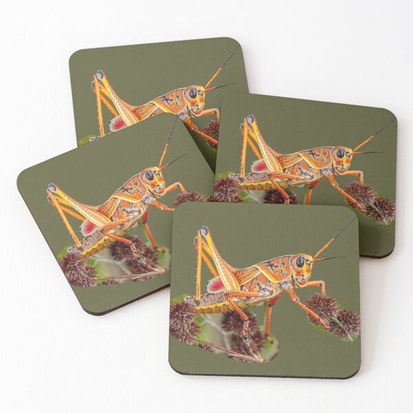 Item preview, Lubber Grasshopper  designed and sold by Dalyndigital Photography.