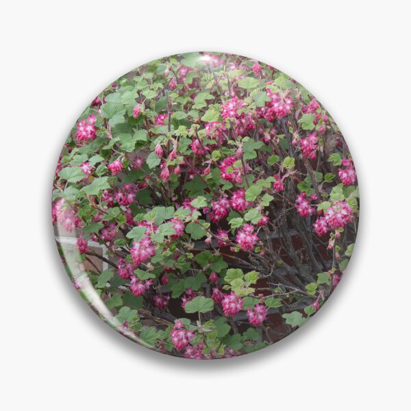 Item preview, Redflower Currant designed and sold by Calidris Fotografie Steffi & Ben Köppler.