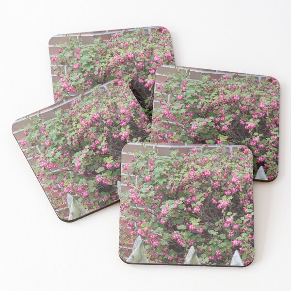 Item preview, Redflower Currant designed and sold by Calidris Fotografie Steffi & Ben Köppler.