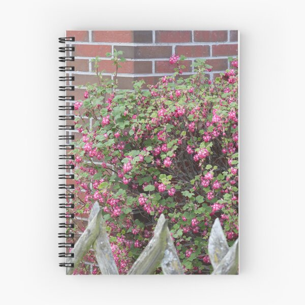 Item preview, Redflower Currant designed and sold by Calidris Fotografie Steffi & Ben Köppler.