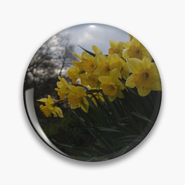 Item preview, Daffodils designed and sold by Calidris Fotografie Steffi & Ben Köppler.
