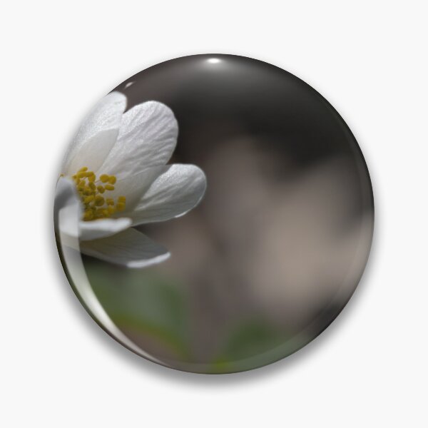 Item preview, Wood Anemone designed and sold by Calidris Fotografie Steffi & Ben Köppler.