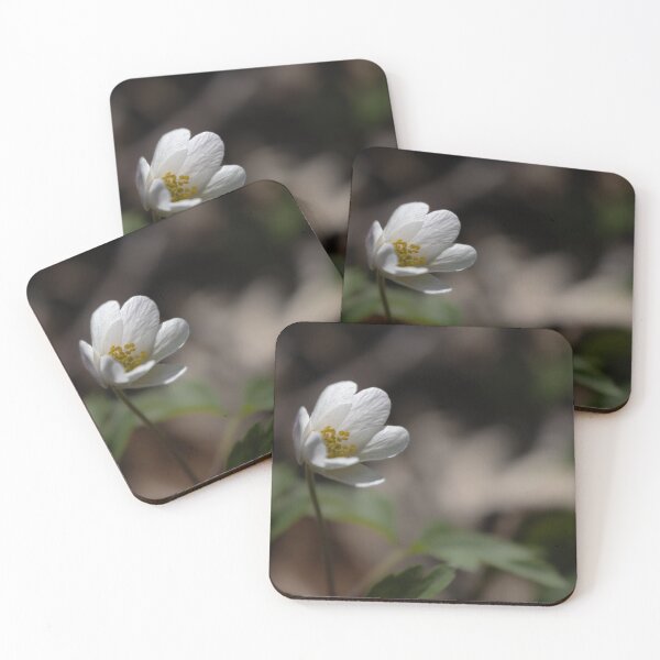 Item preview, Wood Anemone designed and sold by Calidris Fotografie Steffi & Ben Köppler.