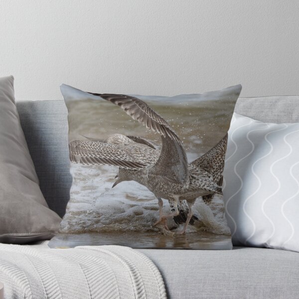 Item preview, Fighting gulls designed and sold by Calidris Fotografie Steffi & Ben Köppler.