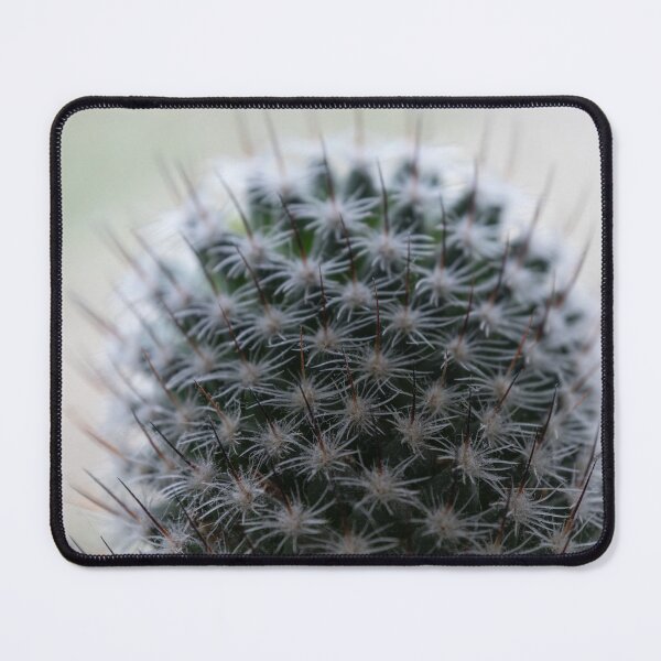 Item preview, Cactus designed and sold by Calidris Fotografie Steffi & Ben Köppler.