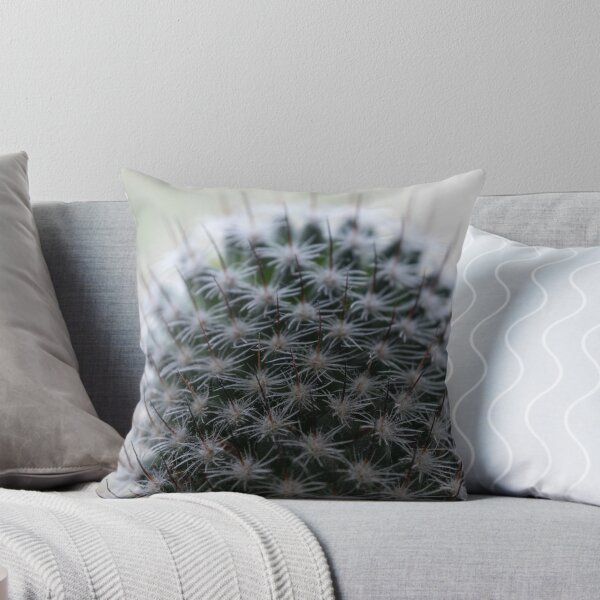 Item preview, Cactus designed and sold by Calidris Fotografie Steffi & Ben Köppler.