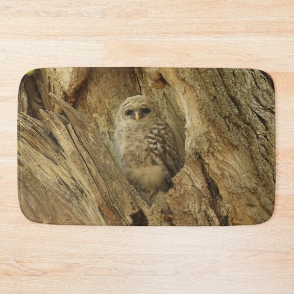 Item preview, Baby barred in nest designed and sold by locustgirl.