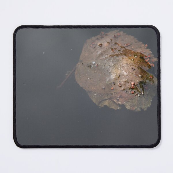 Item preview, Leaves in a rain barrel designed and sold by Calidris Fotografie Steffi & Ben Köppler.