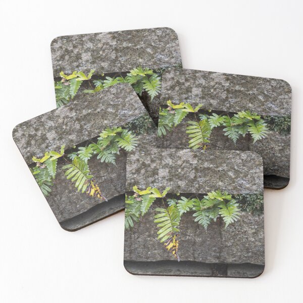 Item preview, Fern designed and sold by Calidris Fotografie Steffi & Ben Köppler.