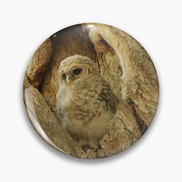 Item preview, Alert Owlet designed and sold by locustgirl.