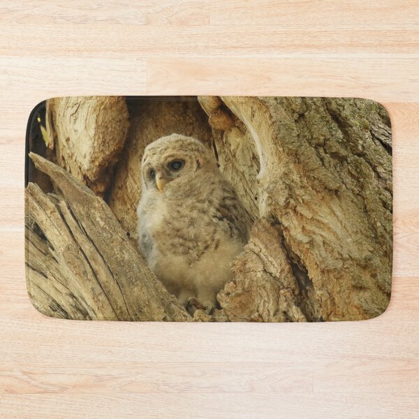 Item preview, Alert Owlet designed and sold by locustgirl.