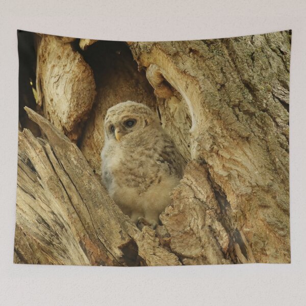 Item preview, Alert Owlet designed and sold by locustgirl.