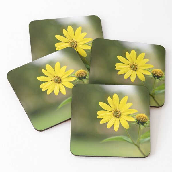 Item preview, Sunflower (Helianthus annuus) designed and sold by Ethanabban.