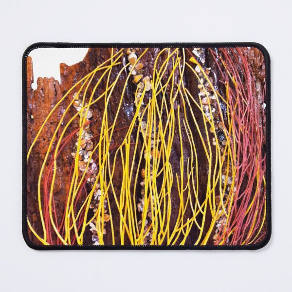 Item preview, Sea Whips on Barn Board designed and sold by SueBMytko.