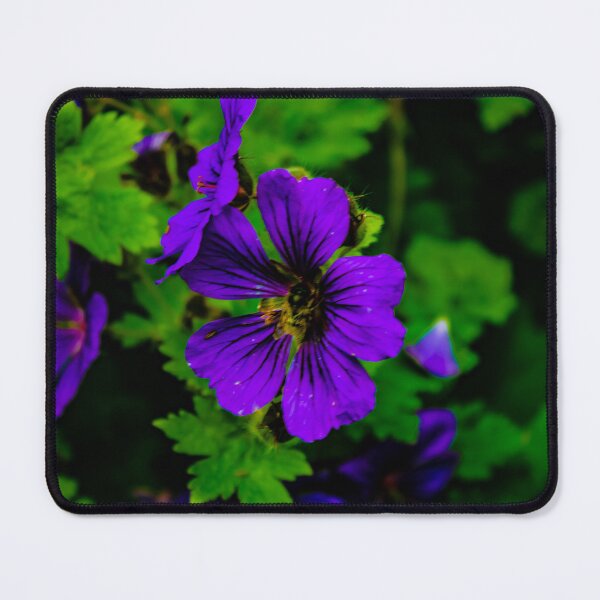 Item preview, Buzzy Beee  designed and sold by Dagon-Photos.