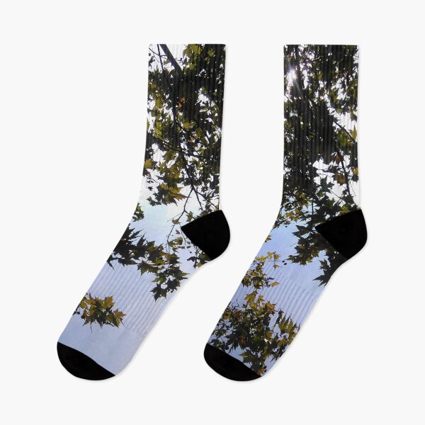 Item preview, Maple tree leaves and sky designed and sold by mariya-ivanova.