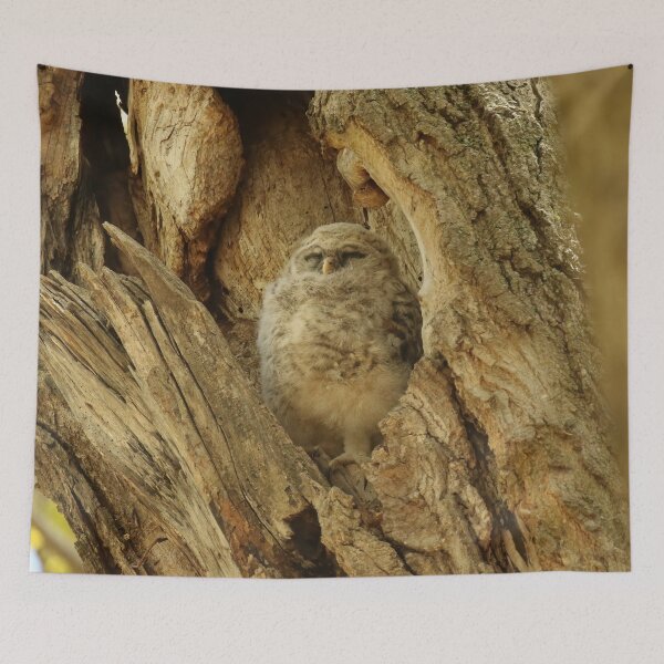 Item preview, Sleepy barred owlet designed and sold by locustgirl.