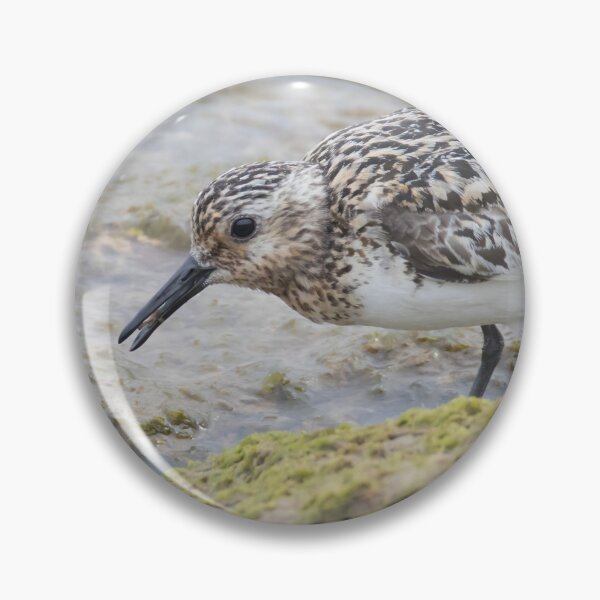 Item preview, Sanderling designed and sold by LaurenTucker.