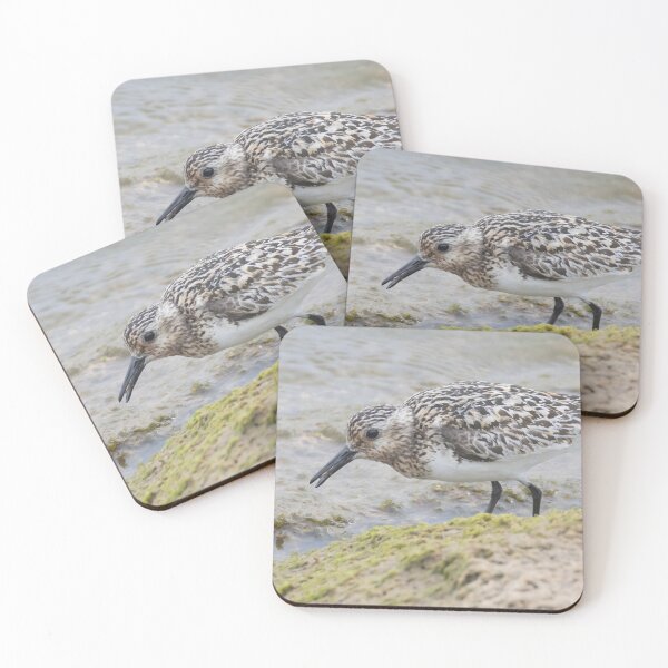 Item preview, Sanderling designed and sold by LaurenTucker.