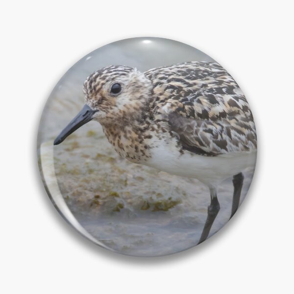 Item preview, Sanderling designed and sold by LaurenTucker.