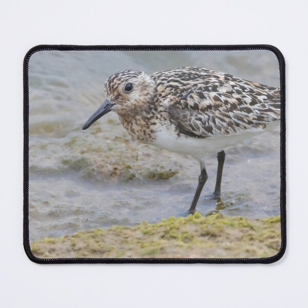 Item preview, Sanderling designed and sold by LaurenTucker.