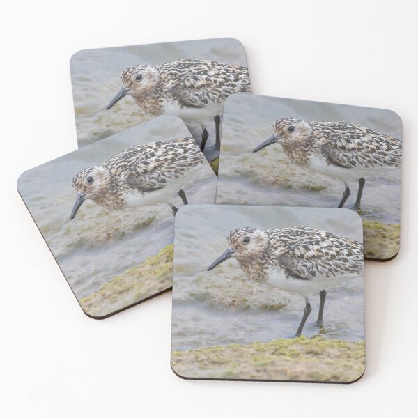 Item preview, Sanderling designed and sold by LaurenTucker.