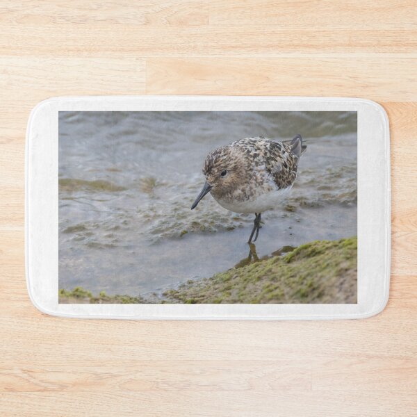 Item preview, Sanderling designed and sold by LaurenTucker.