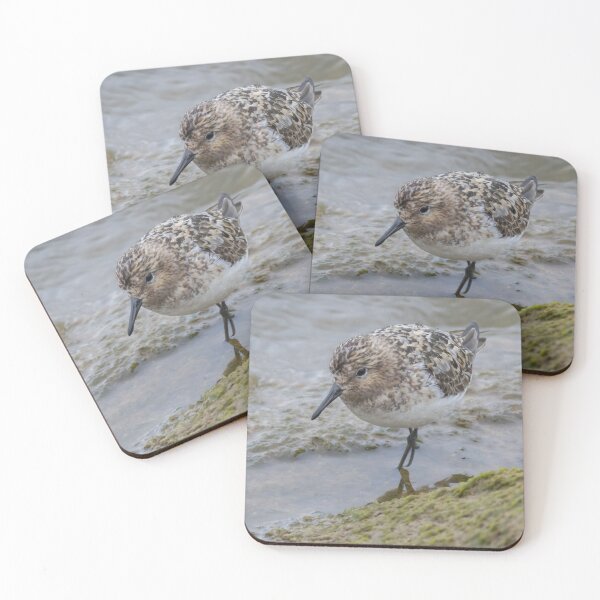 Item preview, Sanderling designed and sold by LaurenTucker.