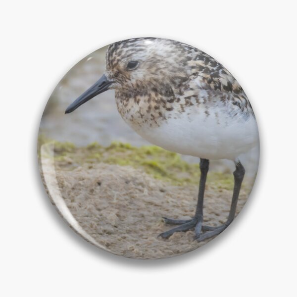 Item preview, Sanderling designed and sold by LaurenTucker.