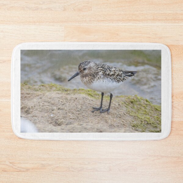Item preview, Sanderling designed and sold by LaurenTucker.