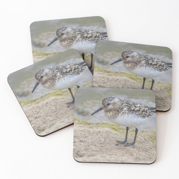 Item preview, Sanderling designed and sold by LaurenTucker.