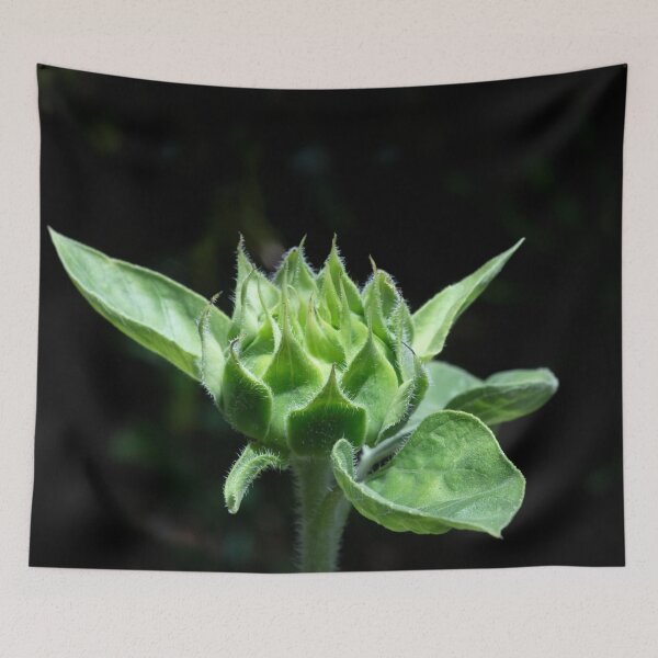 Item preview, Happy Sunflowers Helianthus X130 designed and sold by RichFrancoCars.