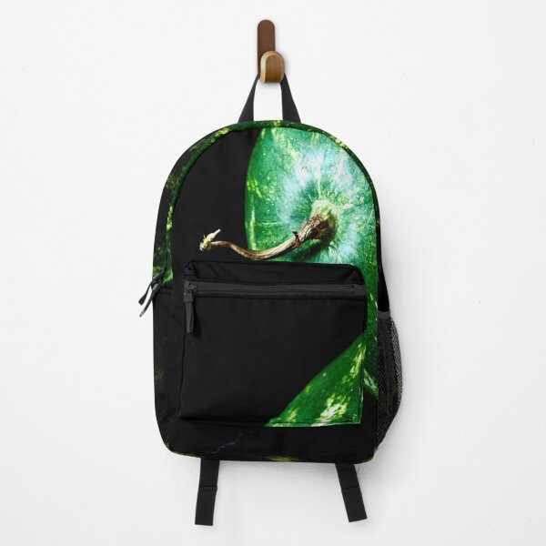 Item preview, watermelon lies on black background designed and sold by IgorKovalenko.