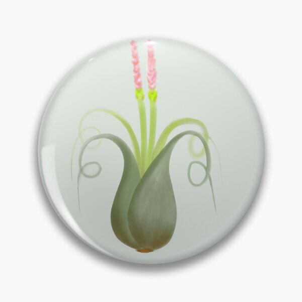 Item preview, Air Plant Tillandsia Caput Medusae designed and sold by Budibabe.