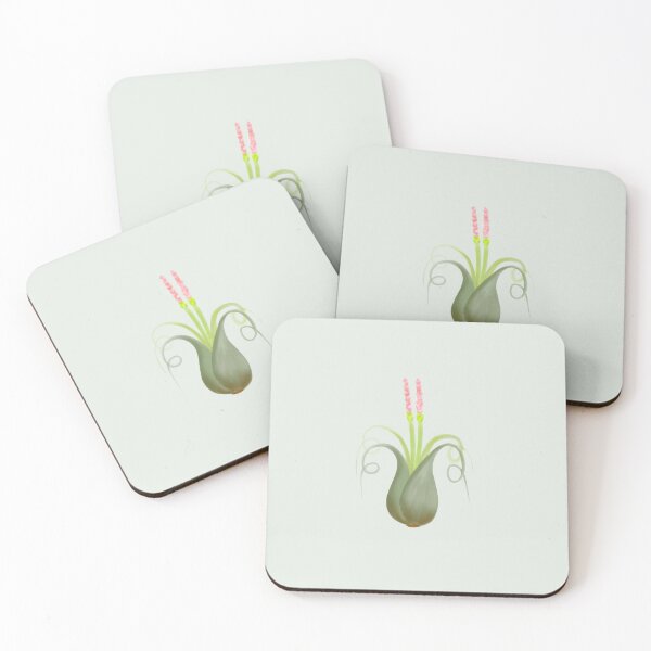 Item preview, Air Plant Tillandsia Caput Medusae designed and sold by Budibabe.
