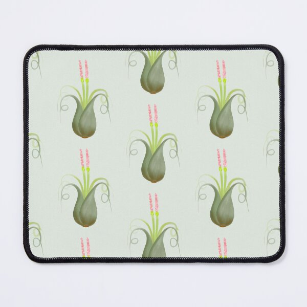 Item preview, Air Plant Tillandsia Caput Medusae designed and sold by Budibabe.