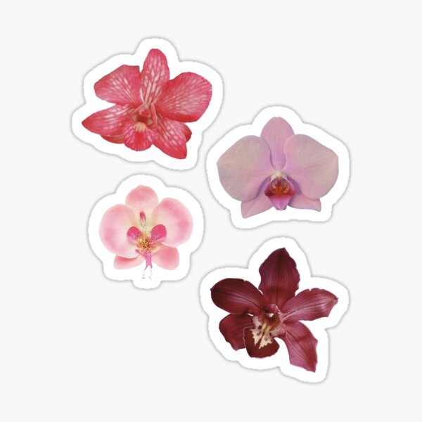 Item preview, Orchid flower sticker sheet designed and sold by izzysdigitals.