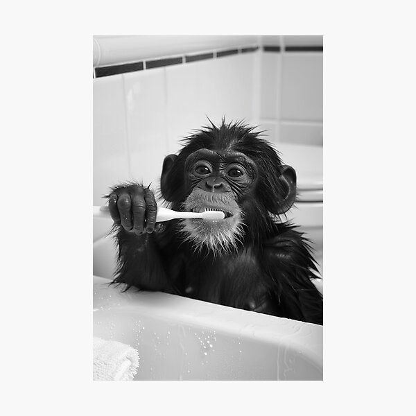 Item preview, Monkey Brushing Teeth in the Bathroom designed and sold by CheekyAnimalz.